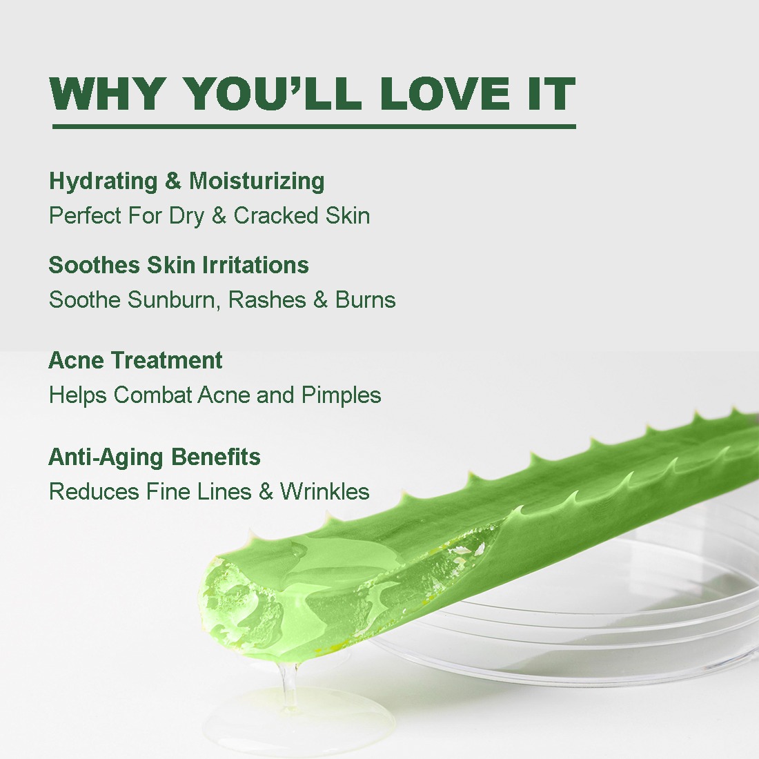 Aloevera moisturizing gel - Image 4